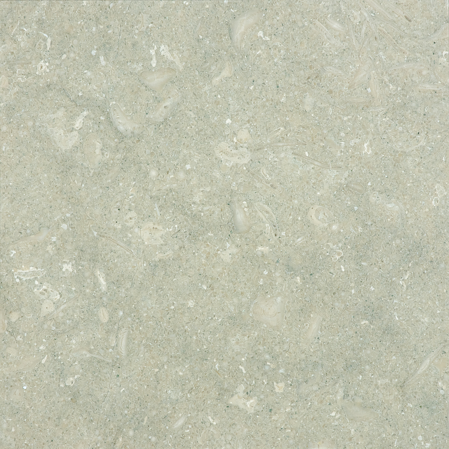 Anatolia Tile 10 Pack Seagrass Honed Limestone Floor and Wall Tile (Common 12 in x 12 in; Actual 12 in x 12 in)