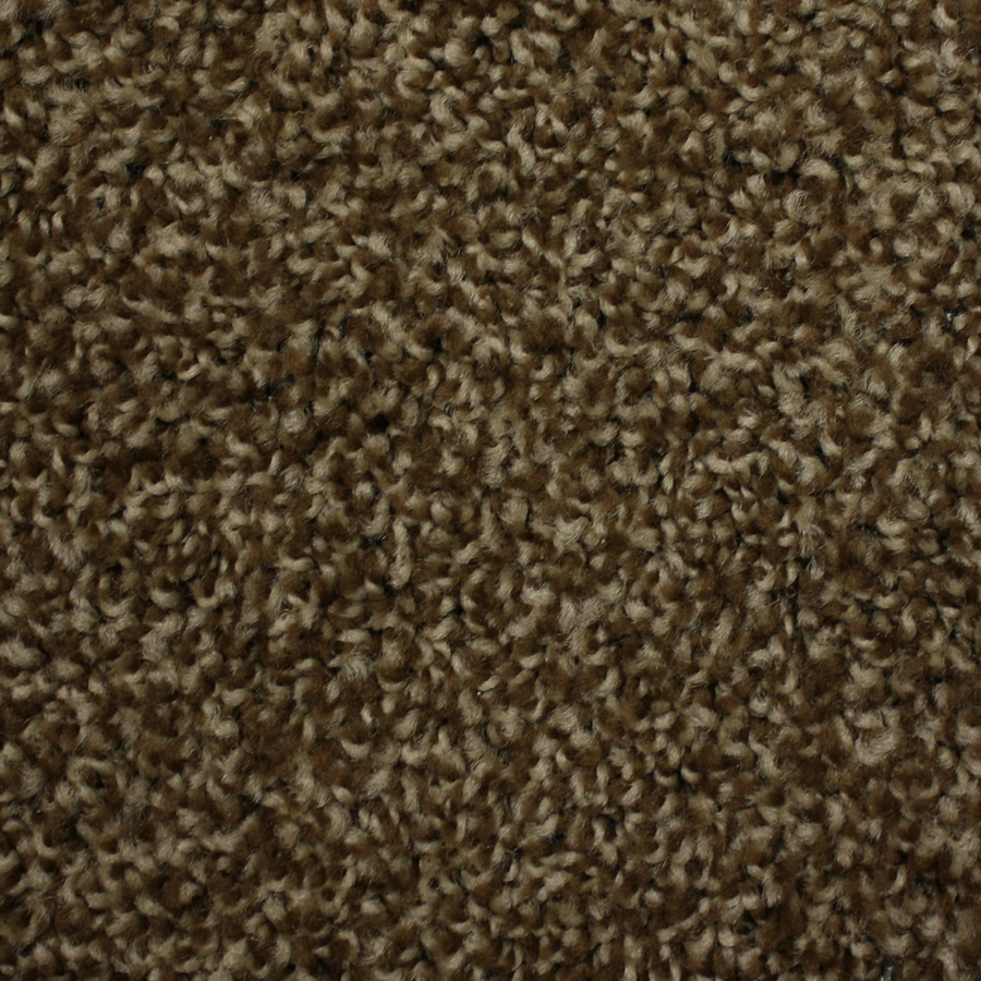 Charger Mocha Cream Textured Indoor Carpet