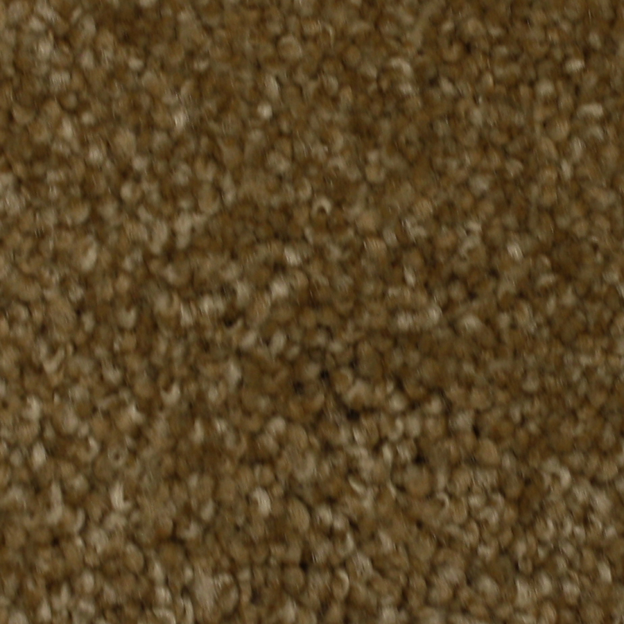 STAINMASTER Solarmax Westwind Enduring Textured Indoor Carpet