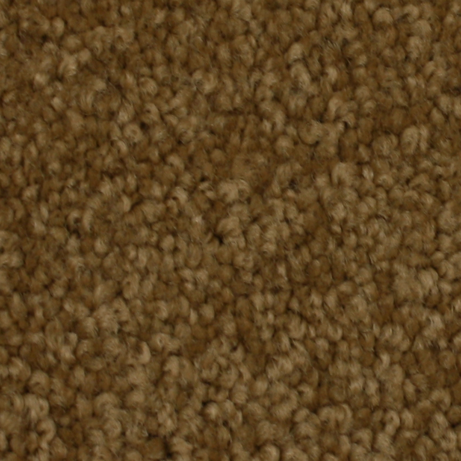 STAINMASTER Solarmax Westwind Embrace Textured Indoor Carpet