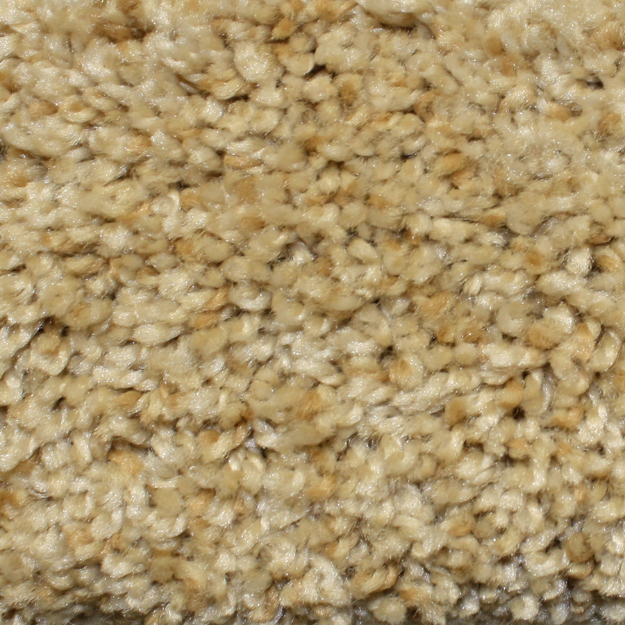 Looptex Mills Ozark Legend Multi Cut Pile Indoor Carpet