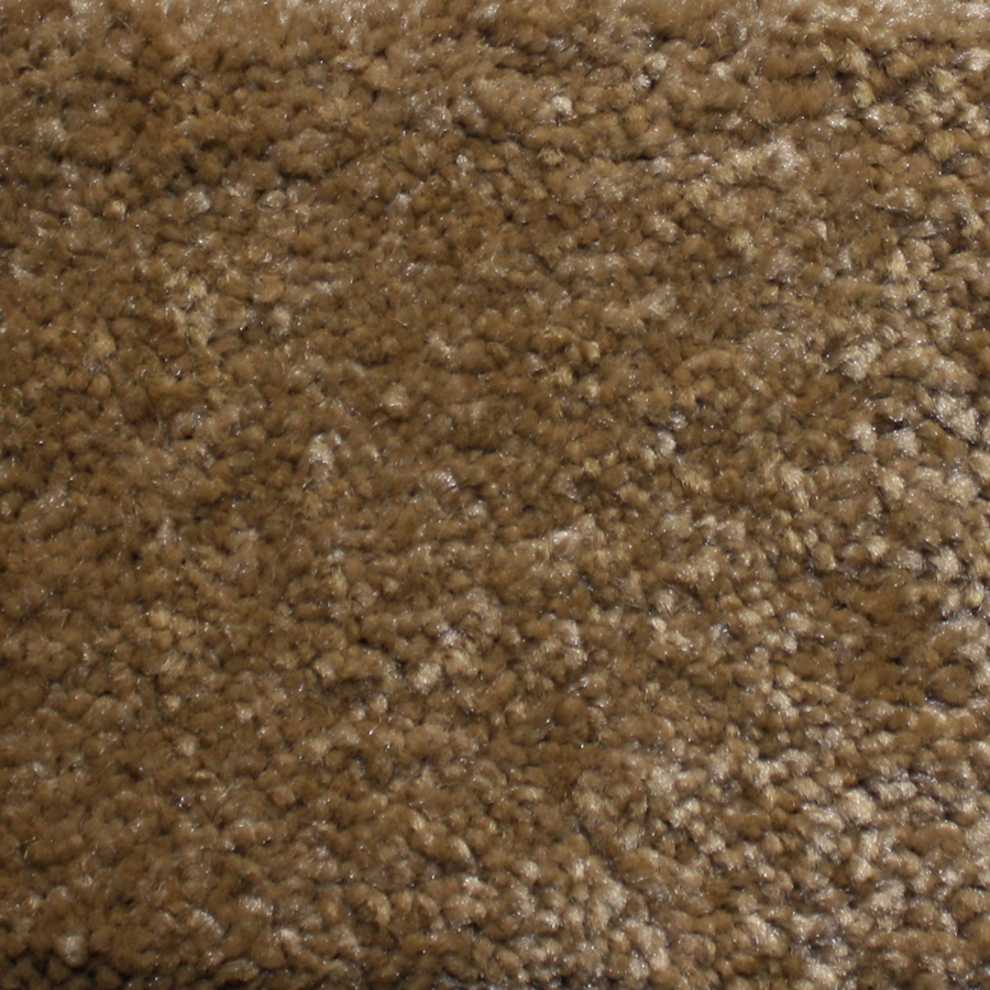 Looptex Mills Rush Landing Beige Cut Pile Indoor Carpet