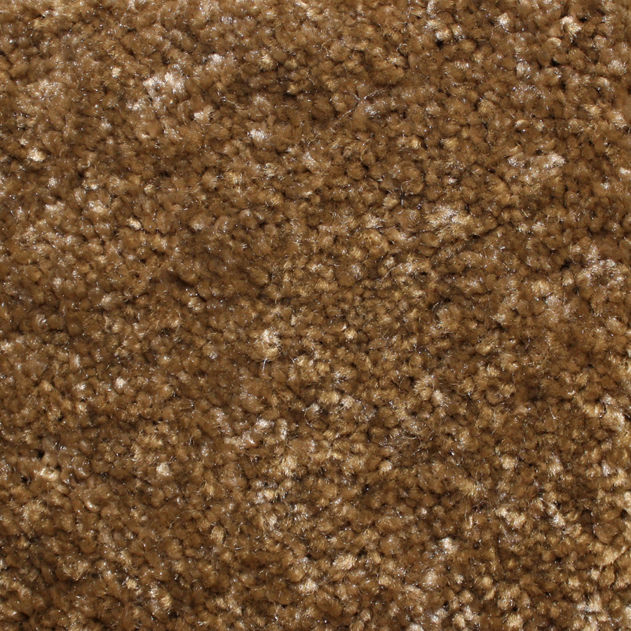 Looptex Mills Rush Landing Brown Cut Pile Indoor Carpet