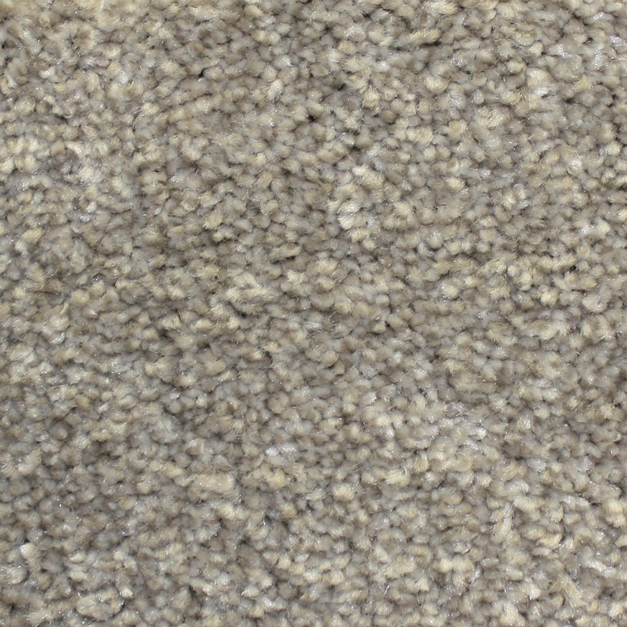 Looptex Mills Barely Rustic Beige Cut Pile Indoor Carpet