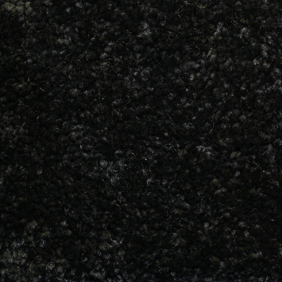 Looptex Mills Barely Rustic Black Cut Pile Indoor Carpet