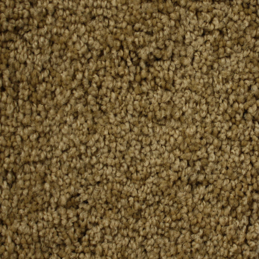 Looptex Mills Essentials Nitro Brown Textured Indoor Carpet