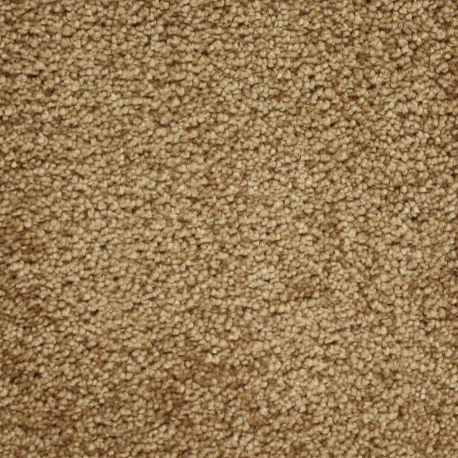 Looptex Mills Fb045 Captivate Brown Textured Indoor Carpet