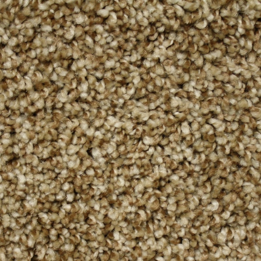 Looptex Mills Marl Multi Tan Textured Indoor Carpet