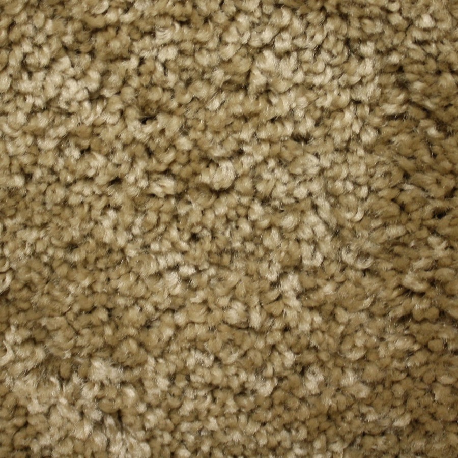 Looptex Mills Coquina Tan Textured Indoor Carpet