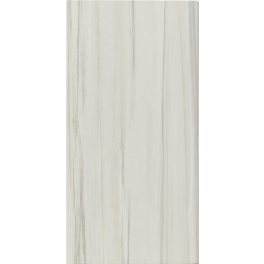 FLOORS 2000 6 Pack Alboran Perla Glazed Porcelain Indoor/Outdoor Floor Tiles (Common 12 in x 24 in; Actual 11.81 in x 23.62 in)