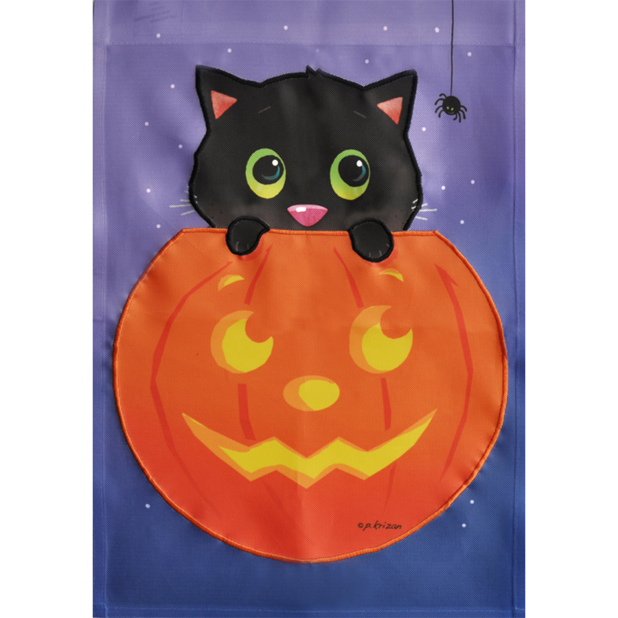 Rain or Shine 18 in x 12.5 in Halloween Flag