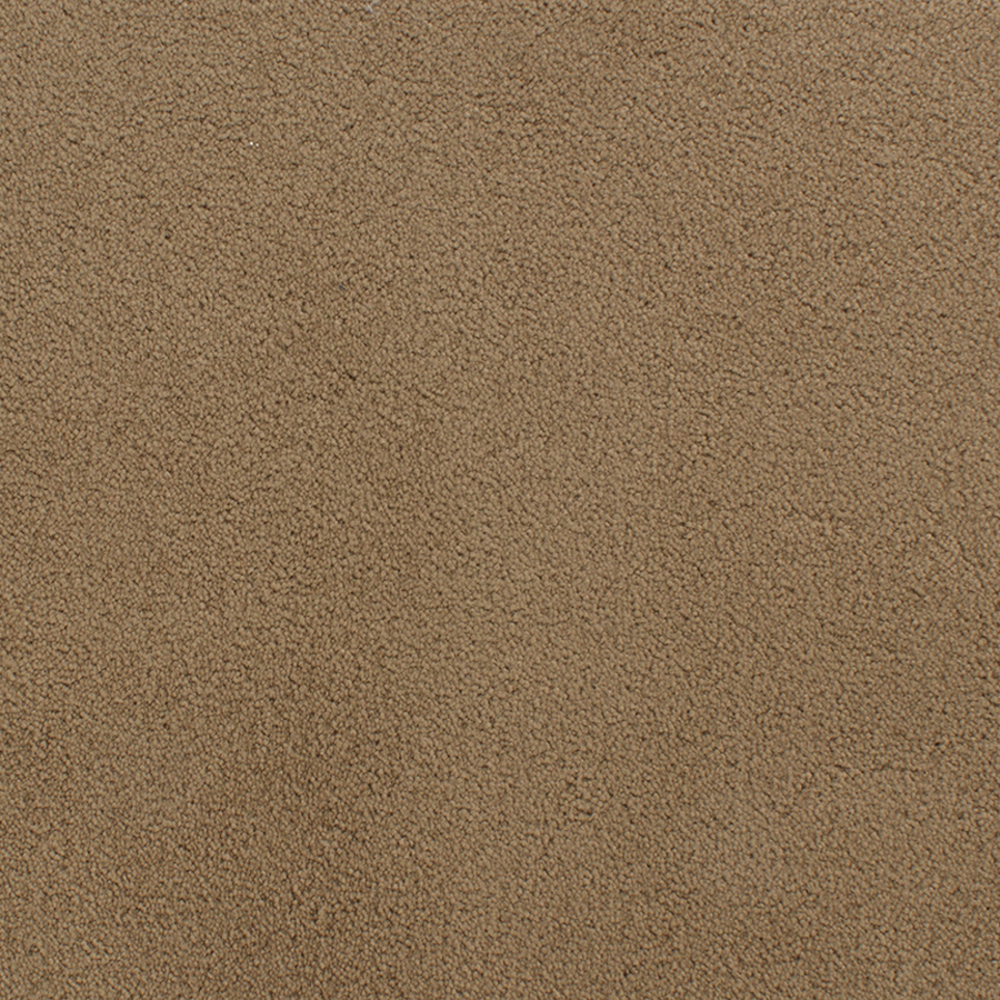 STAINMASTER Active Family Capri Place Brown Plush Indoor Carpet