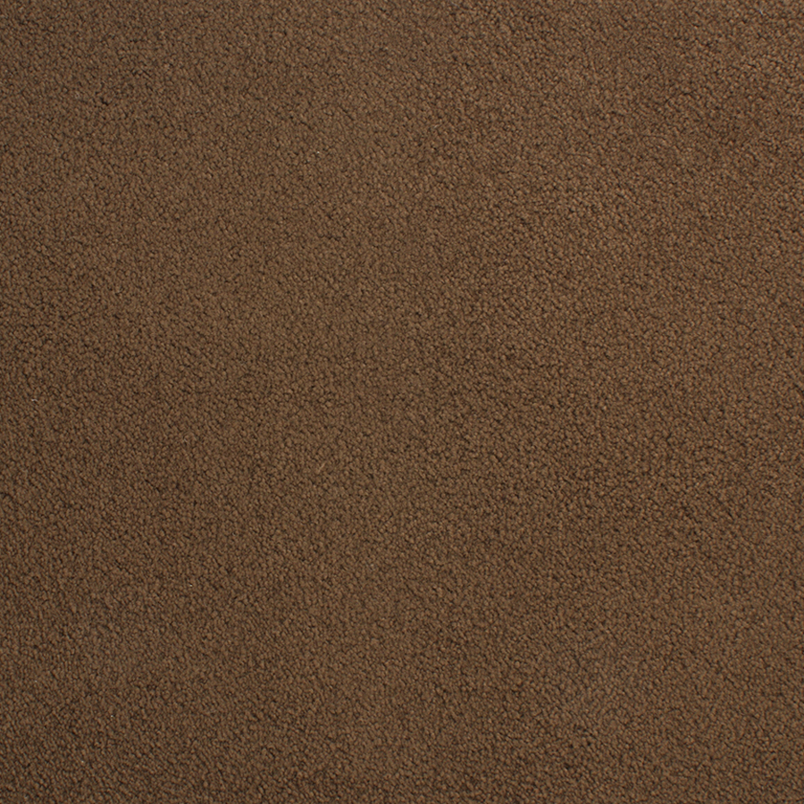 STAINMASTER Active Family Capri Place Brown Plush Indoor Carpet