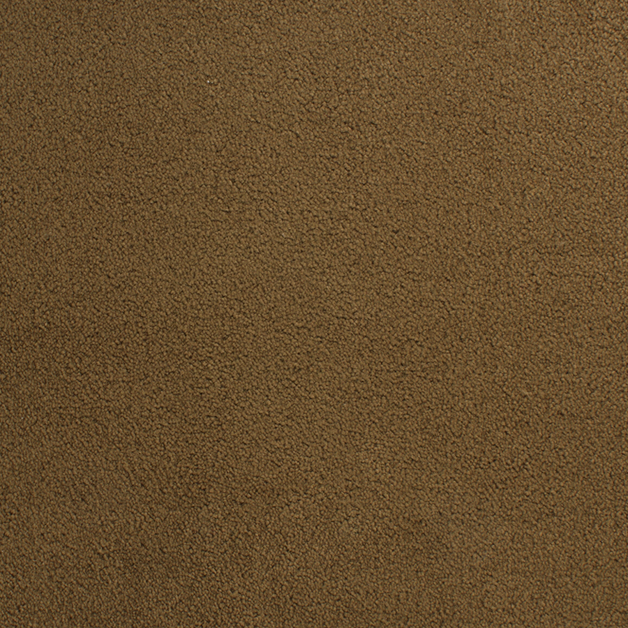 STAINMASTER Active Family Capri Place Brown Plush Indoor Carpet