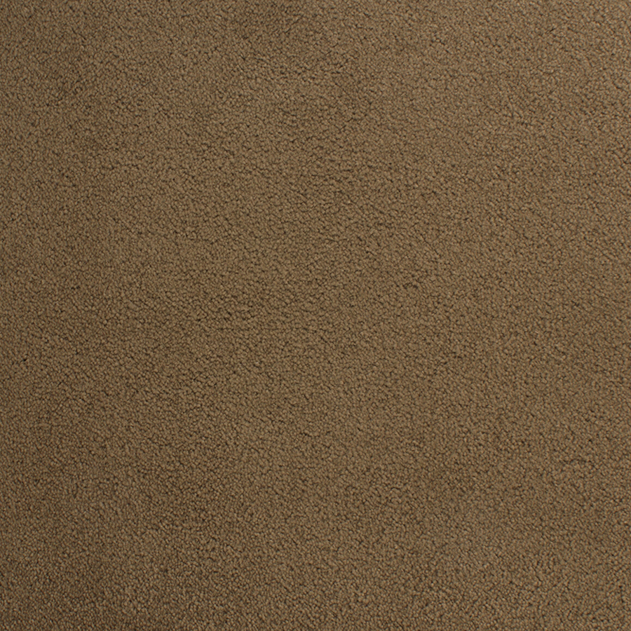 STAINMASTER Active Family Capri Place Brown Plush Indoor Carpet