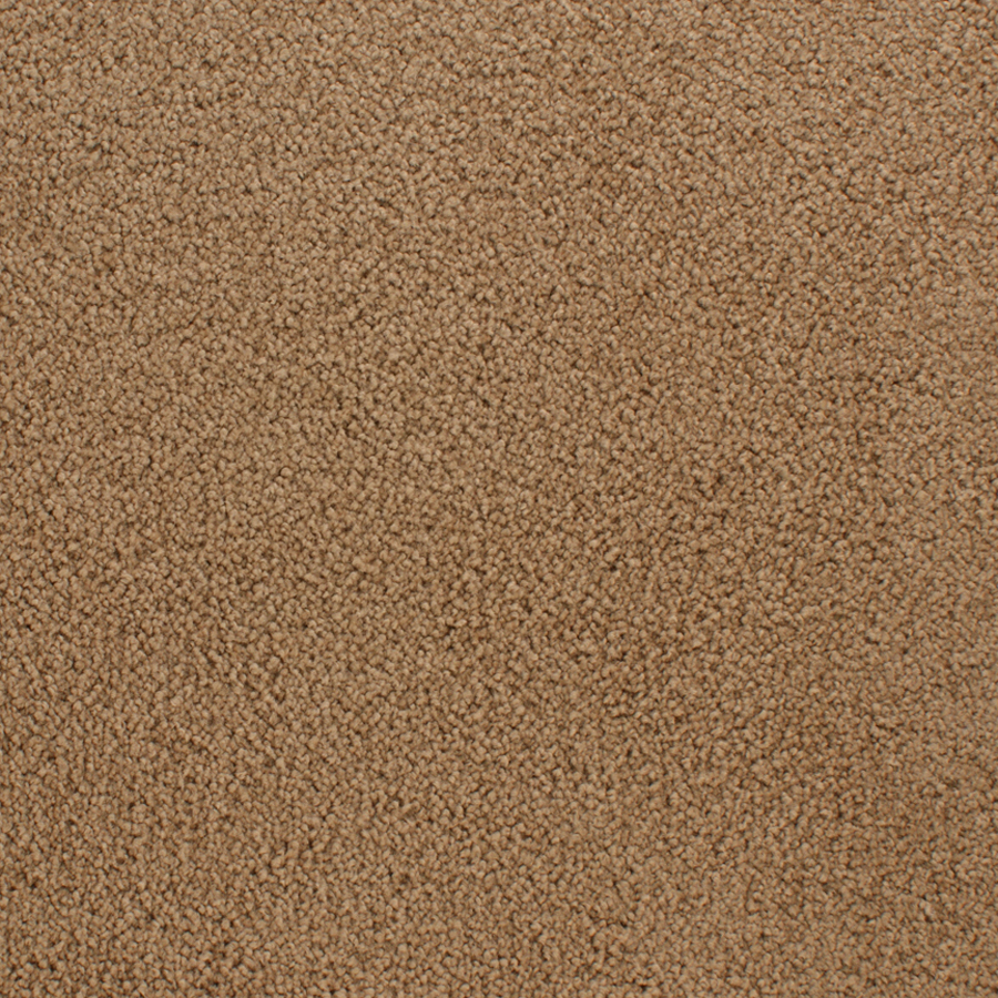 STAINMASTER Active Family Claris Linen Textured Indoor Carpet