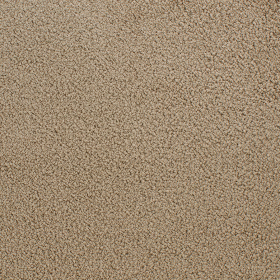 STAINMASTER Active Family Claris Glow Textured Indoor Carpet