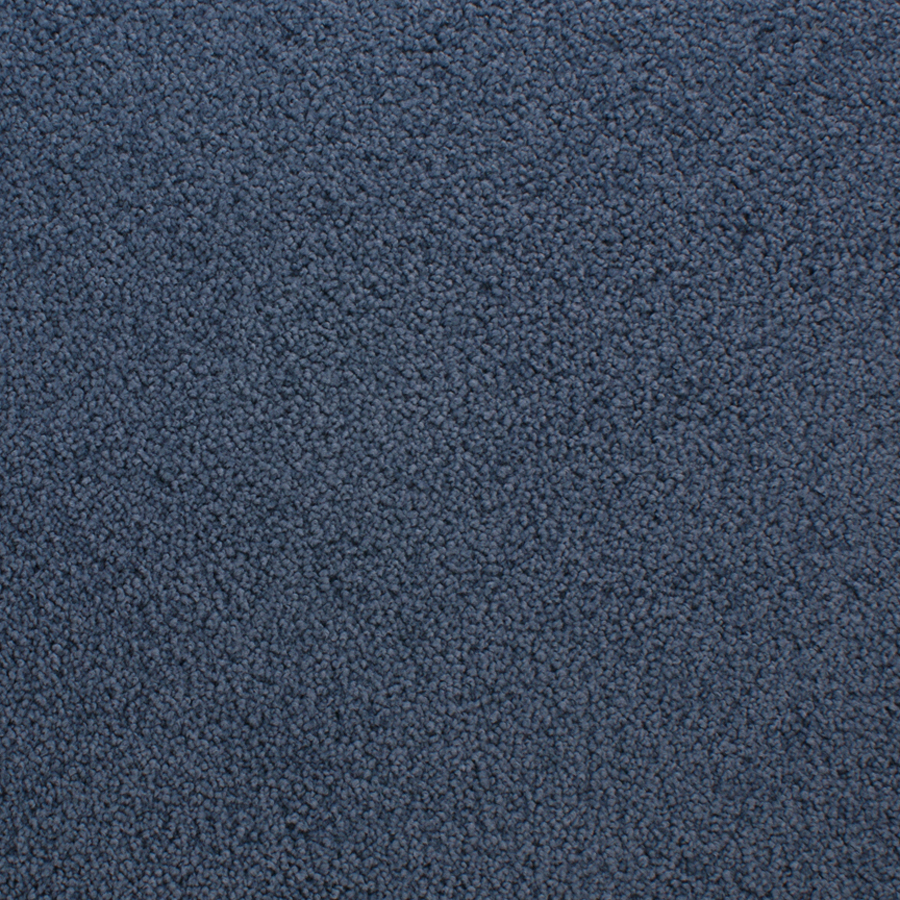 STAINMASTER Active Family Claris Bonnet Textured Indoor Carpet