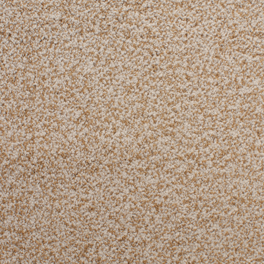 STAINMASTER Active Family Huntington Heights Brown Textured Indoor Carpet