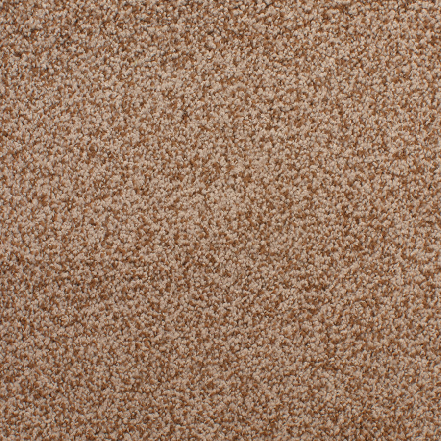 STAINMASTER Active Family Huntington Heights Brown Textured Indoor Carpet