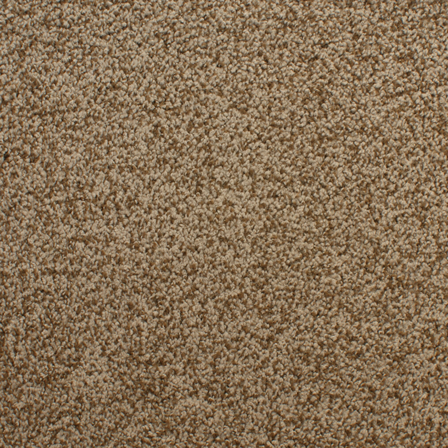 STAINMASTER Active Family Huntington Heights Brown Textured Indoor Carpet