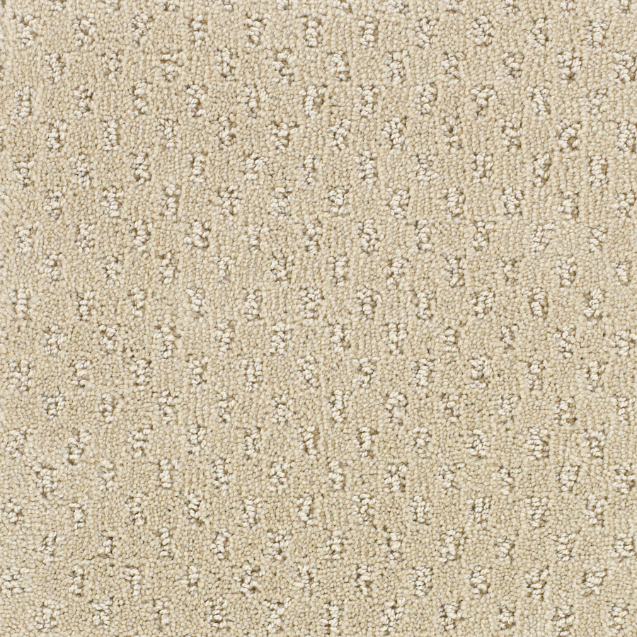 STAINMASTER Solarmax Beige Fashion Forward Indoor Carpet