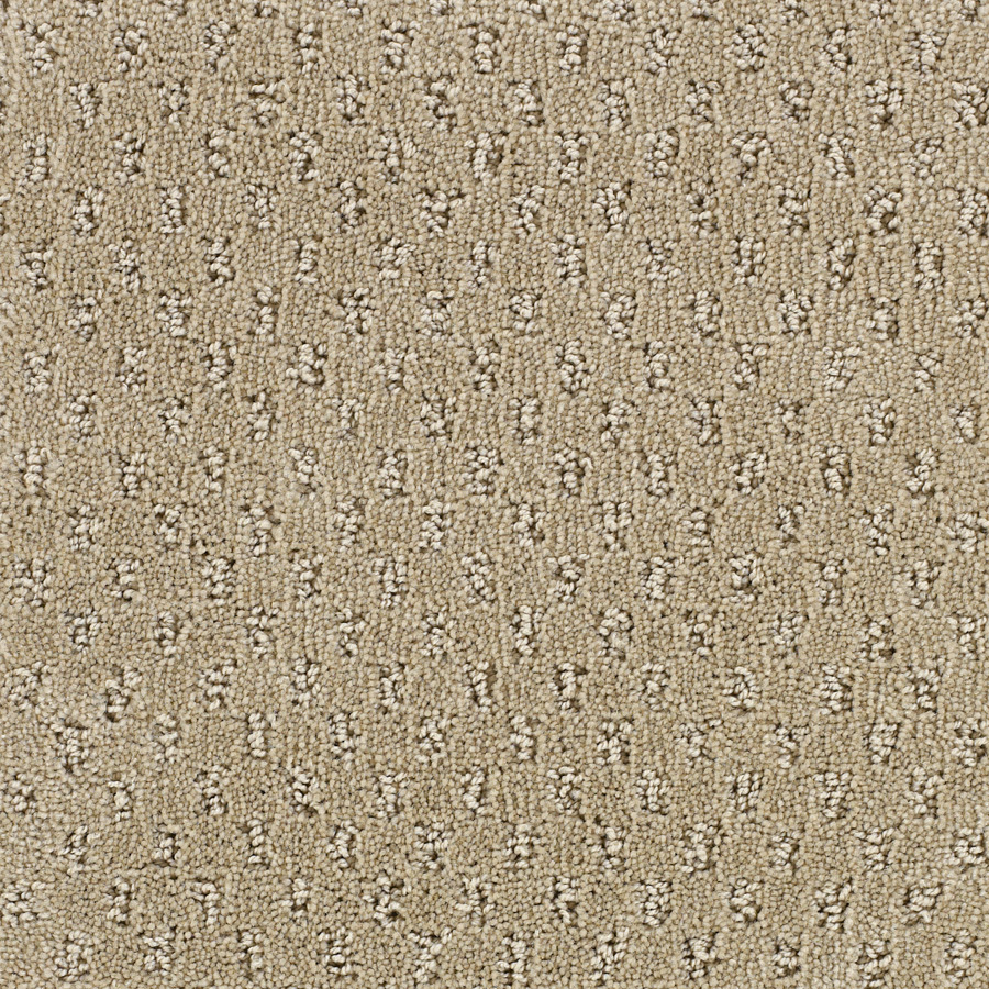 STAINMASTER Solarmax Beige Fashion Forward Indoor Carpet