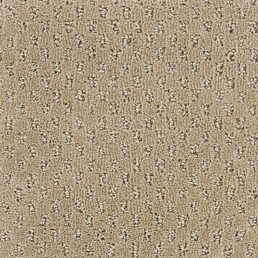 STAINMASTER Solarmax Beige Fashion Forward Indoor Carpet