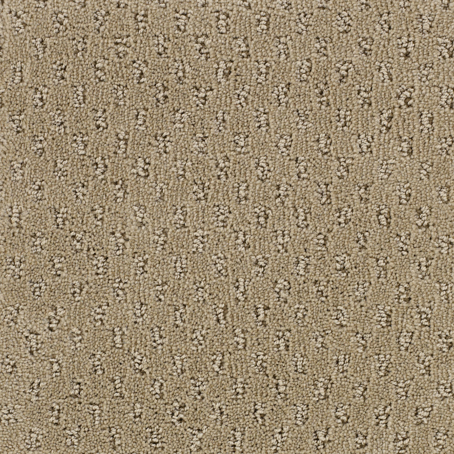 STAINMASTER Solarmax Brown Fashion Forward Indoor Carpet