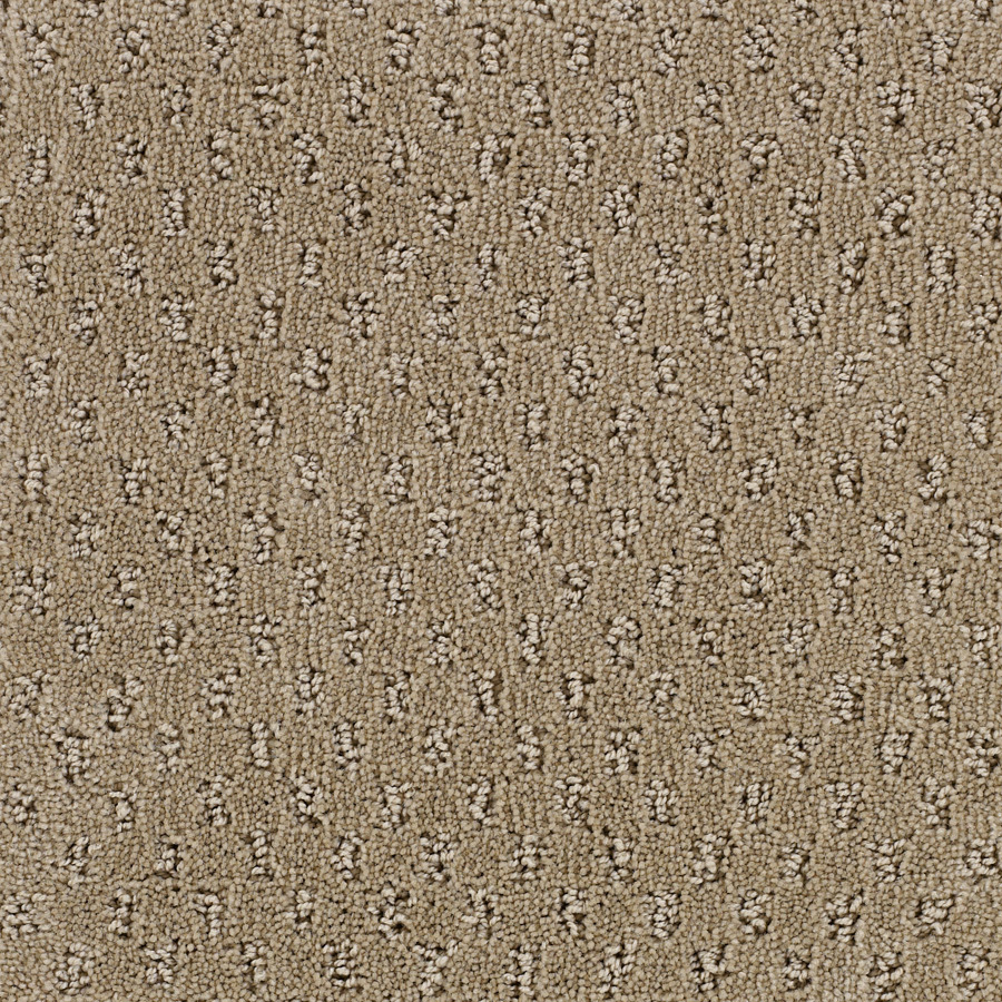 STAINMASTER Solarmax Brown Fashion Forward Indoor Carpet