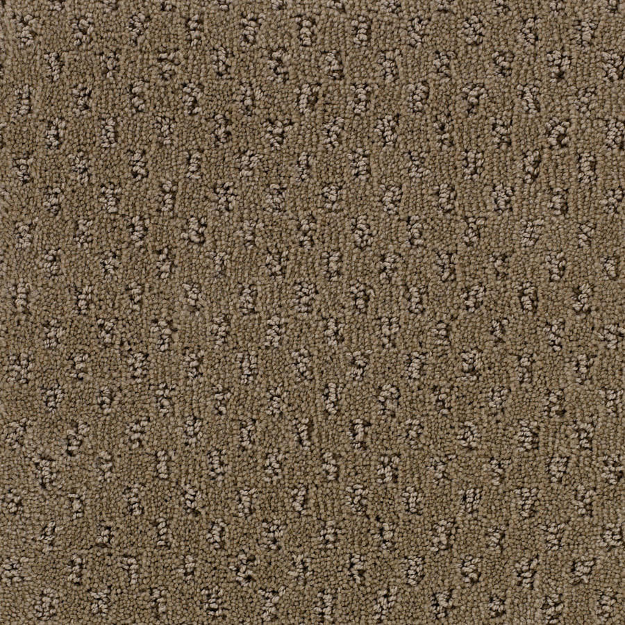 STAINMASTER Solarmax Brown Fashion Forward Indoor Carpet