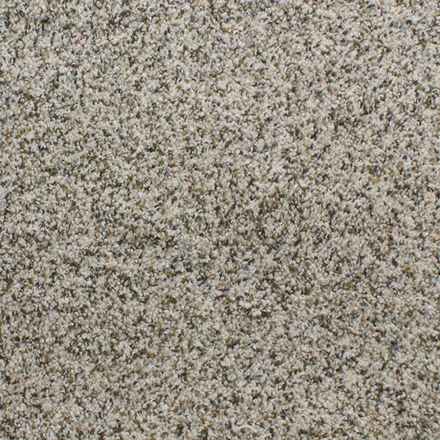 Dixie Group Active Family Exuberance III 101 Cream Textured Indoor Carpet