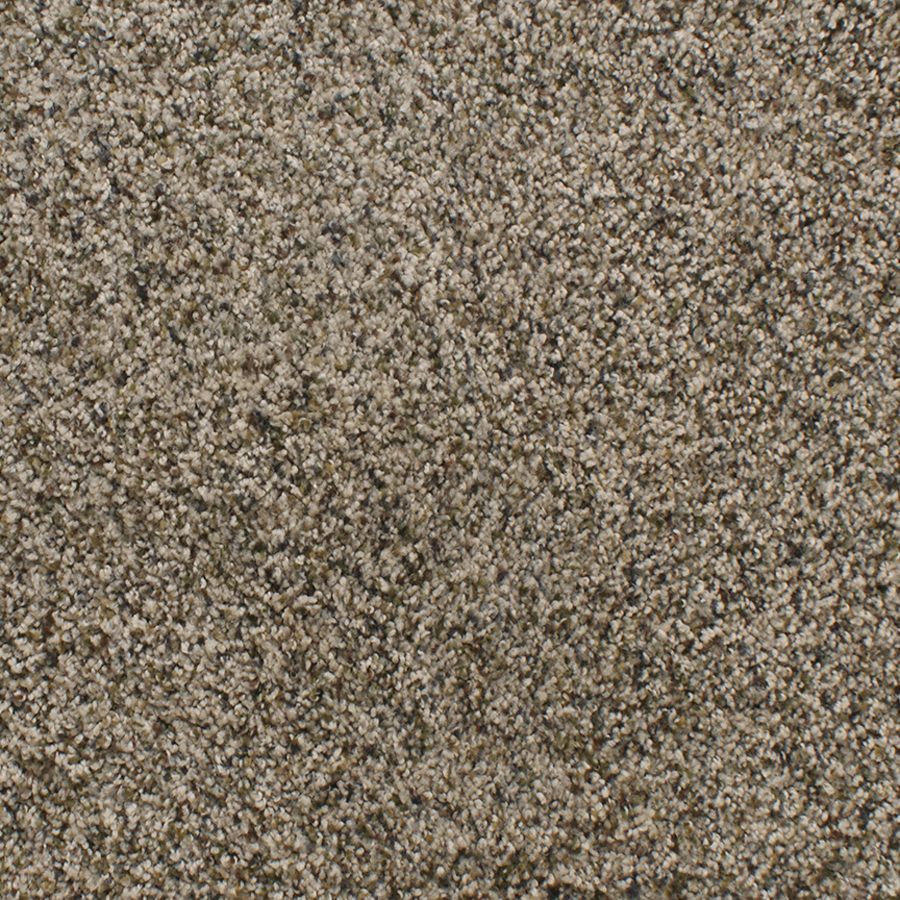 Dixie Group Active Family Exuberance I 117 Brown Textured Indoor Carpet