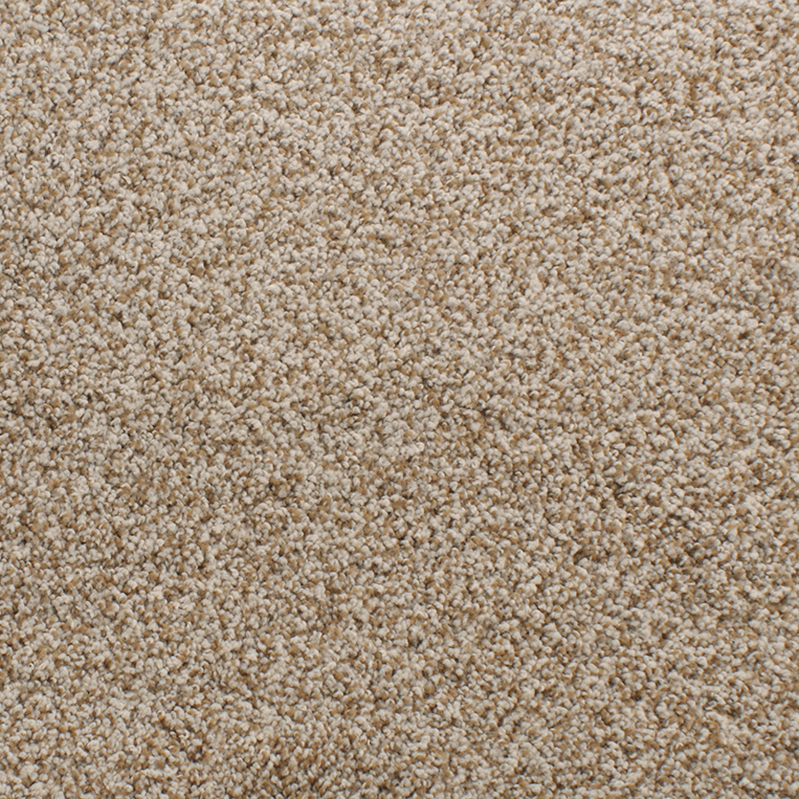 Dixie Group Active Family Exuberance I 118 Cream Textured Indoor Carpet