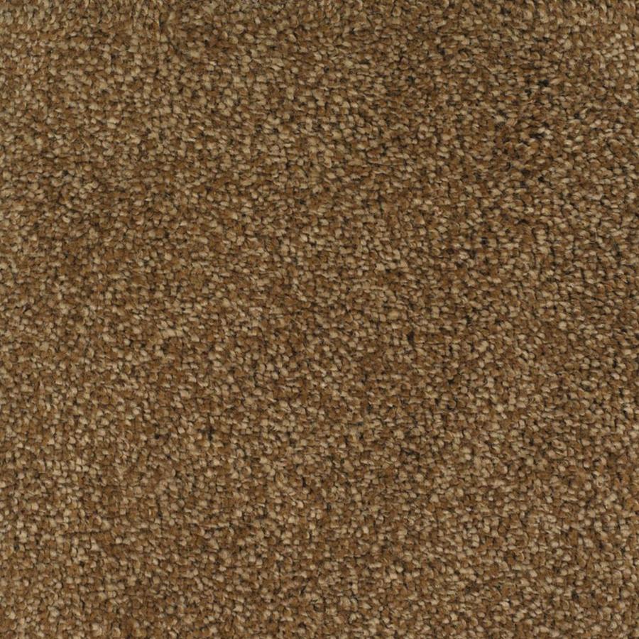 Dixie Group Trusoft Shafer Valley 112 Brown Cut Pile Indoor Carpet