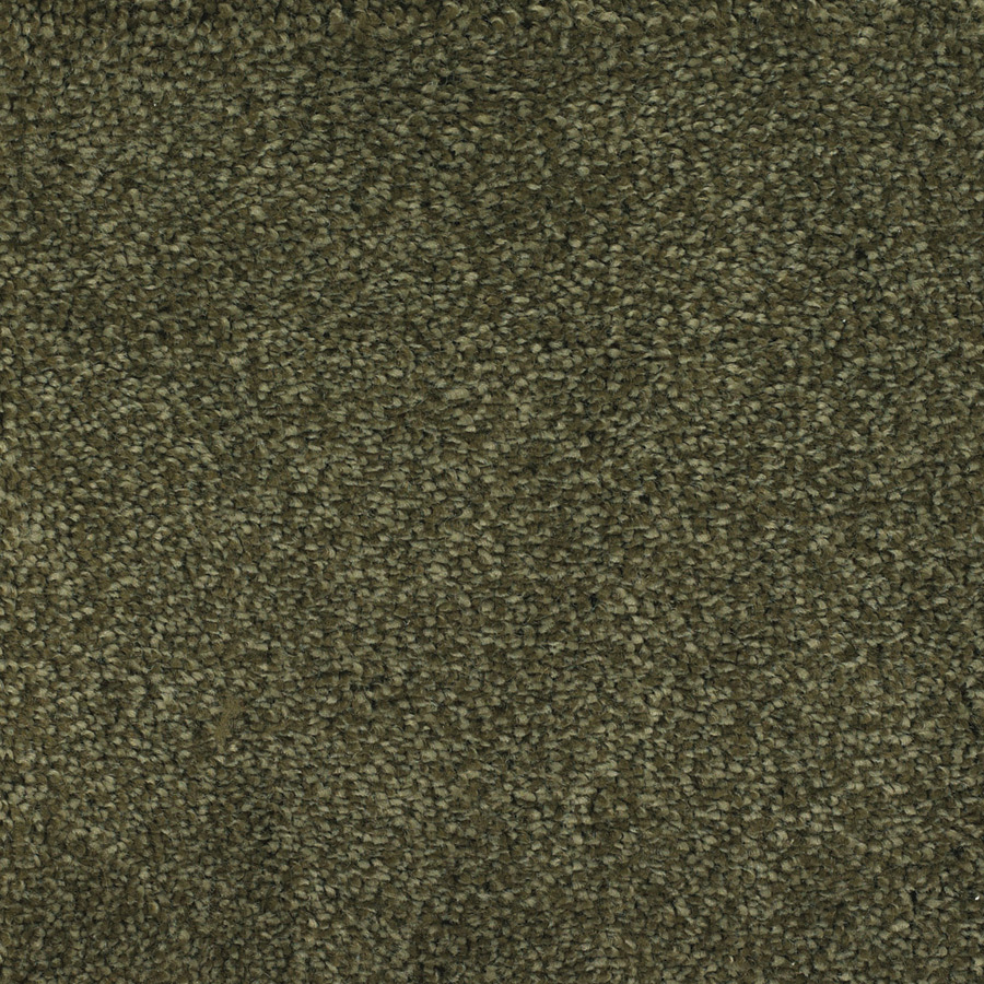 Dixie Group Trusoft Shafer Valley 120 Green Cut Pile Indoor Carpet