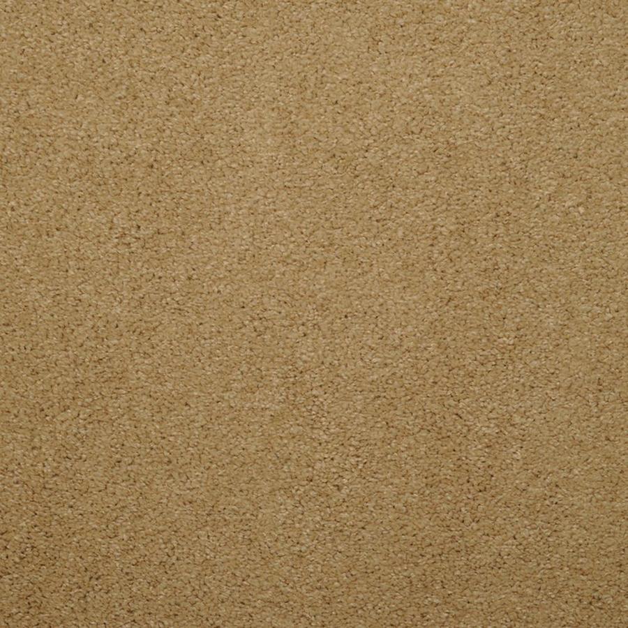 Dixie Group Luminosity Cream Textured Indoor Carpet