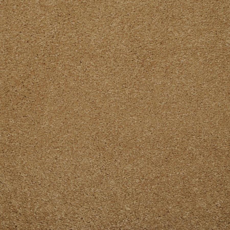 Dixie Group Luminosity Brown Textured Indoor Carpet