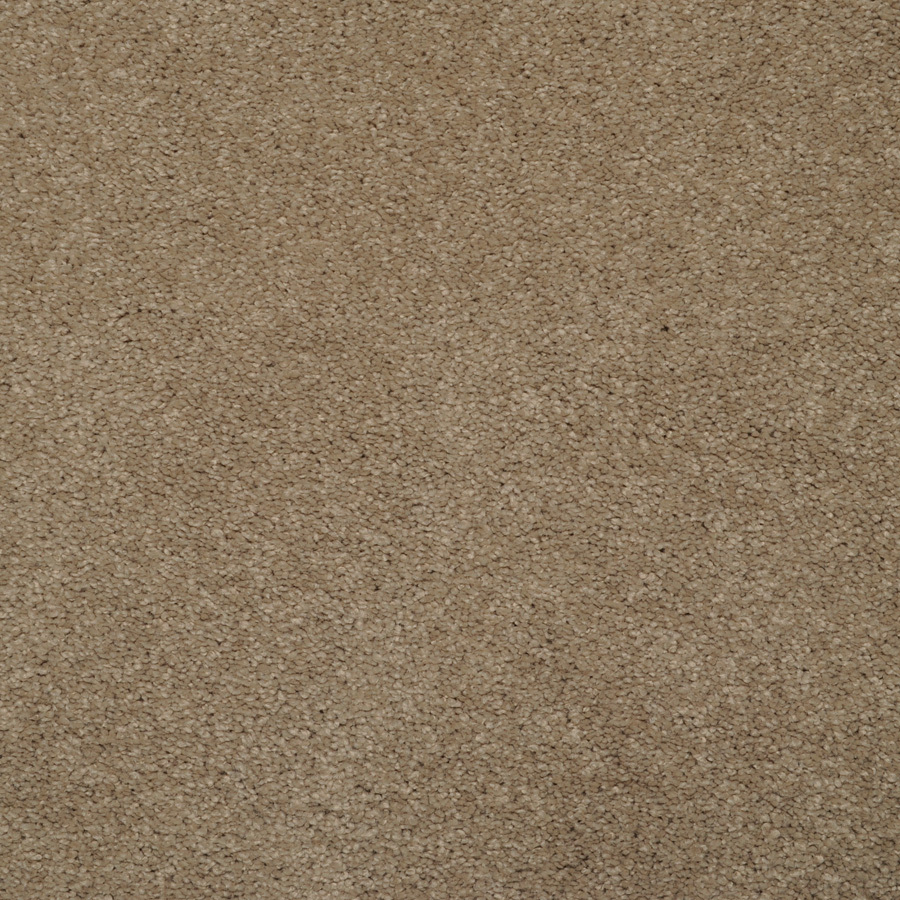 Dixie Group Trusoft Levity Brown Textured Indoor Carpet