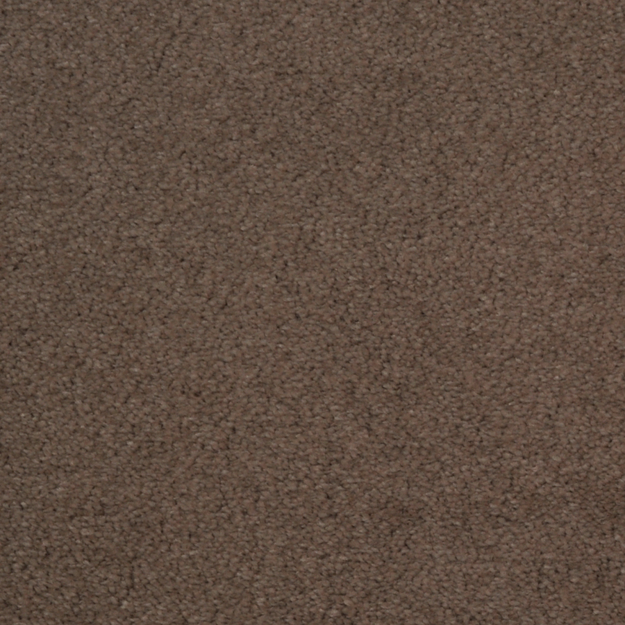Dixie Group Trusoft Vellore Wisper Cut Pile Indoor Carpet