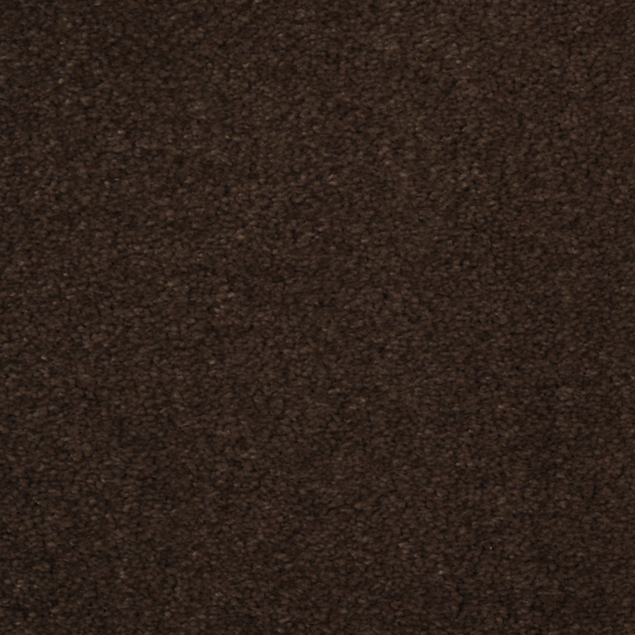 Dixie Group TruSoft Vellore Pinata Textured Indoor Carpet