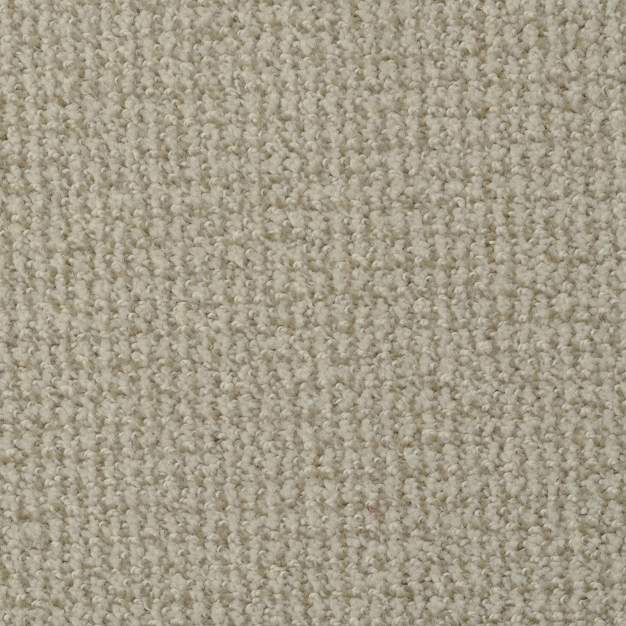 STAINMASTER Active Family Morning Jewel Doeskin Cut and Loop Indoor Carpet