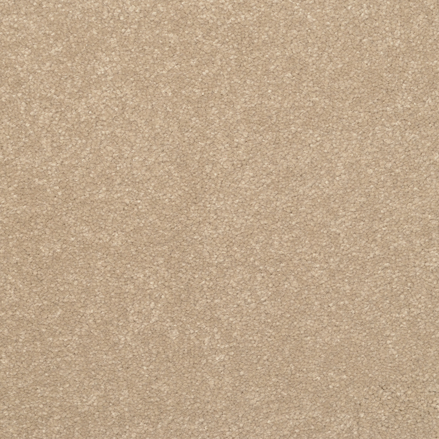 STAINMASTER Active Family Influential Vermont Textured Indoor Carpet