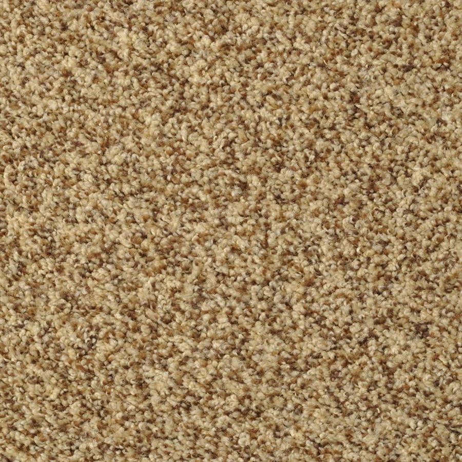 STAINMASTER Active Family Documentary Tuscany Textured Indoor Carpet