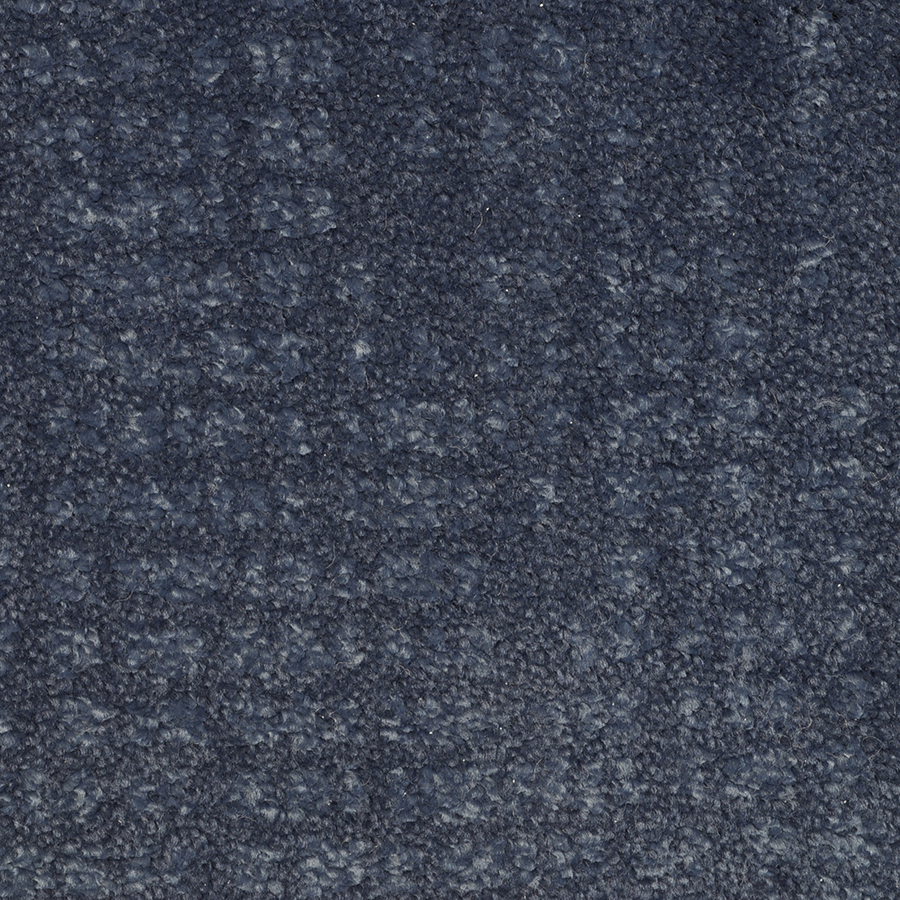 STAINMASTER TruSoft Pine Chapel Blue Note Cut and Loop Indoor Carpet