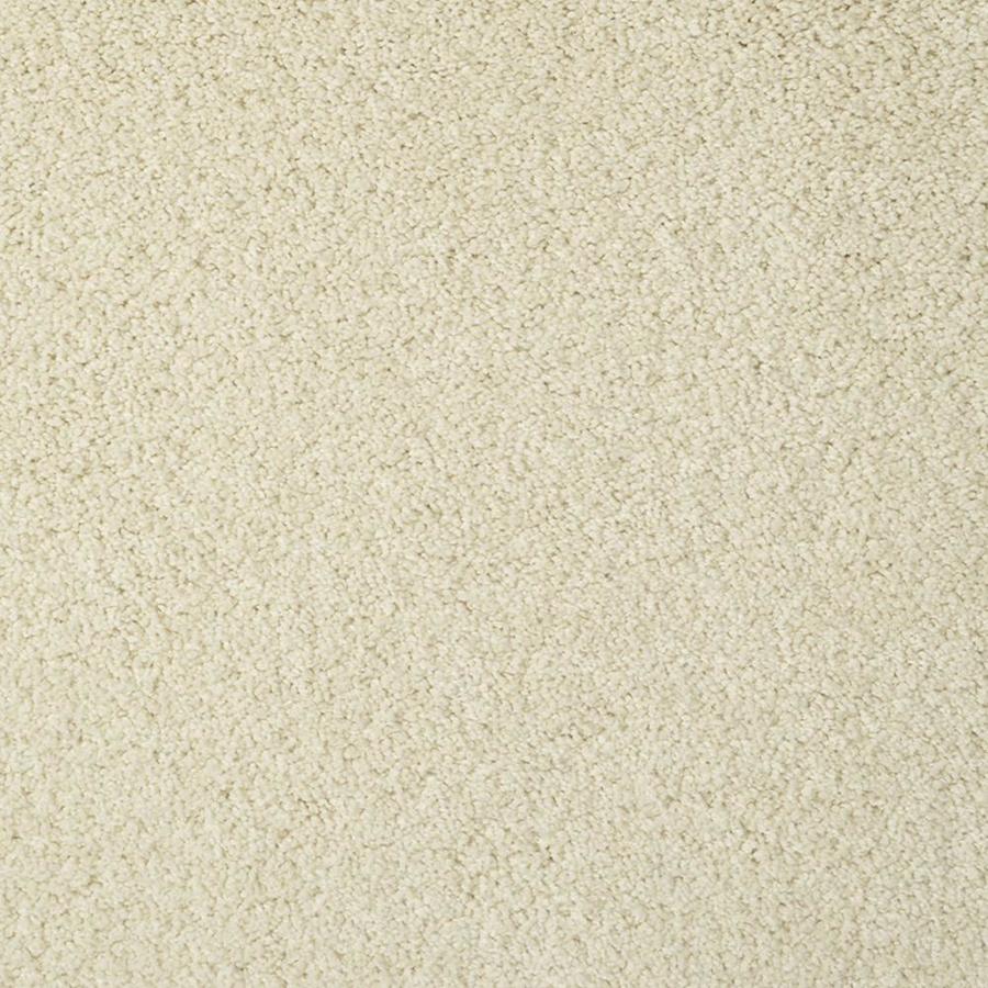 STAINMASTER TruSoft Best of Class Moonglow Plush Indoor Carpet