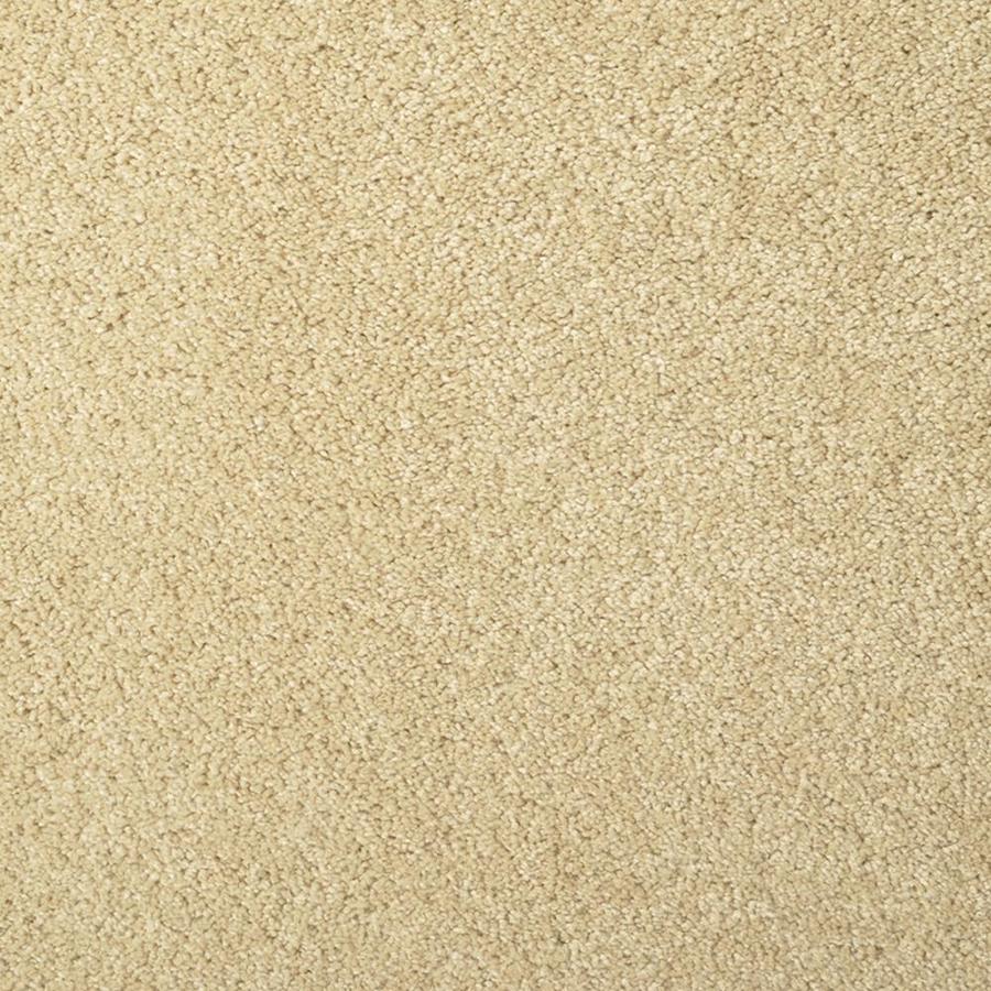 STAINMASTER TruSoft Best of Class Sand Dollar Plush Indoor Carpet