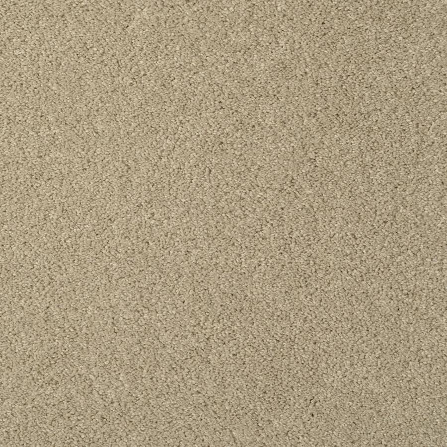 STAINMASTER TruSoft Best of Class Elmwood Plush Indoor Carpet