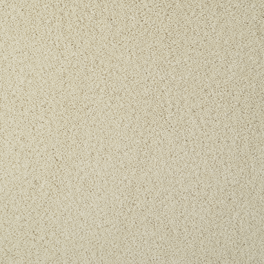 STAINMASTER Best Of Class Vermouth Rectangular Indoor Tufted Area Rug (Common 6 x 9; Actual 72 in W x 108 in L)