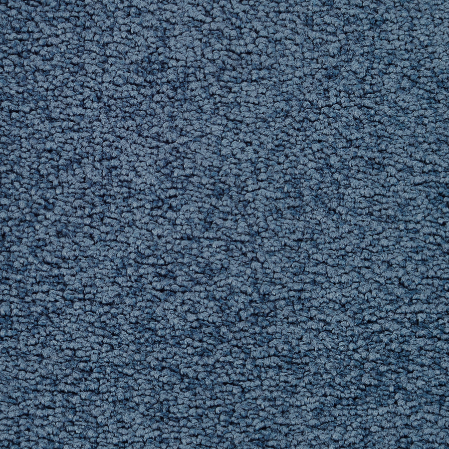 STAINMASTER Active Family Astral Blue Steel Textured Indoor Carpet